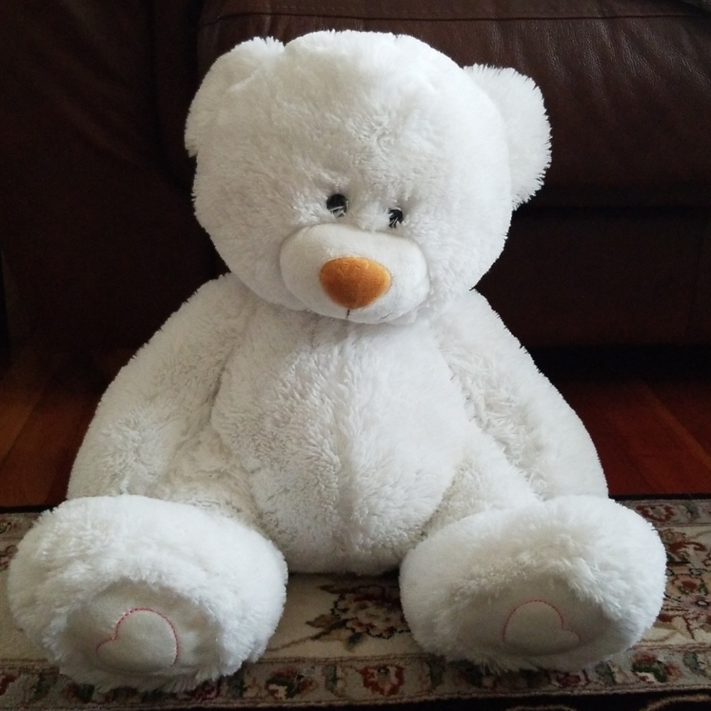 White Teddy Bear